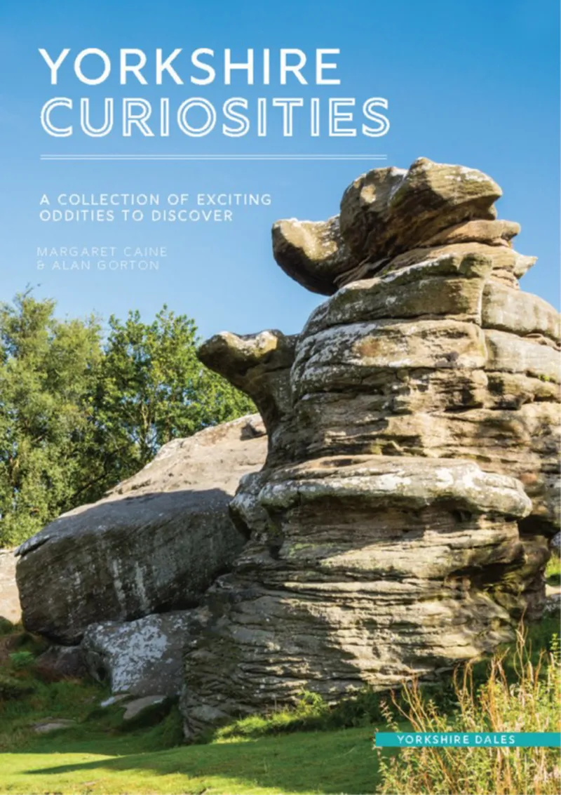 Tor Mark Yorkshire Curiosities