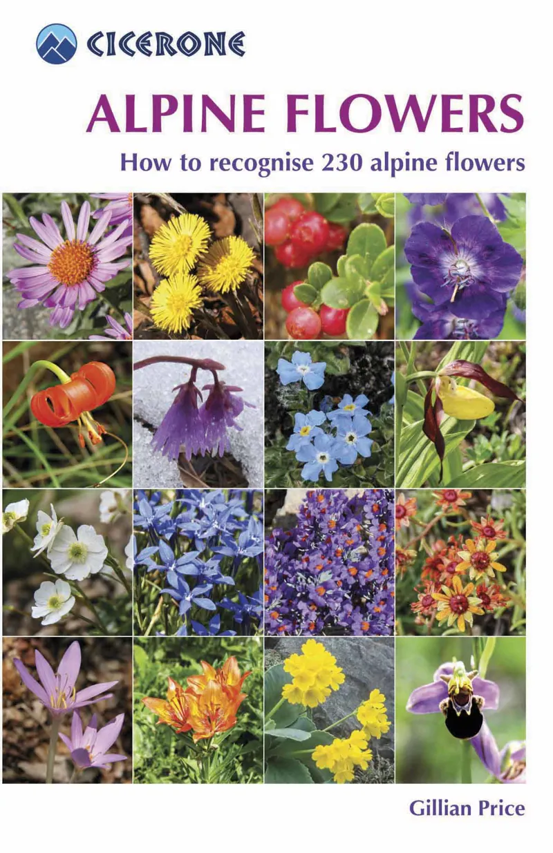 Cicerone - Alpine Flowers by Gillian Price