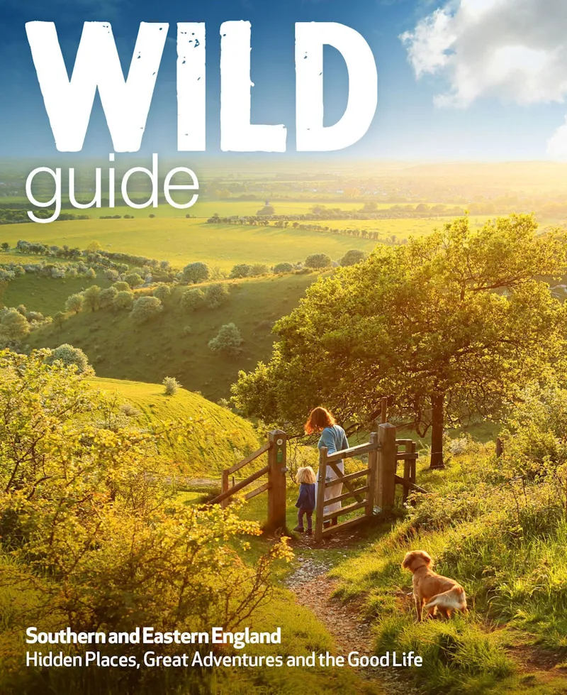 Wild Guide: Southern And Eastern England