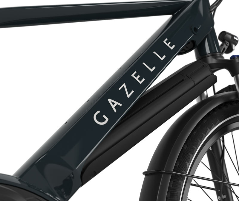 Gazelle Medeo T10 Mid-Step 625 in Pine Green-4