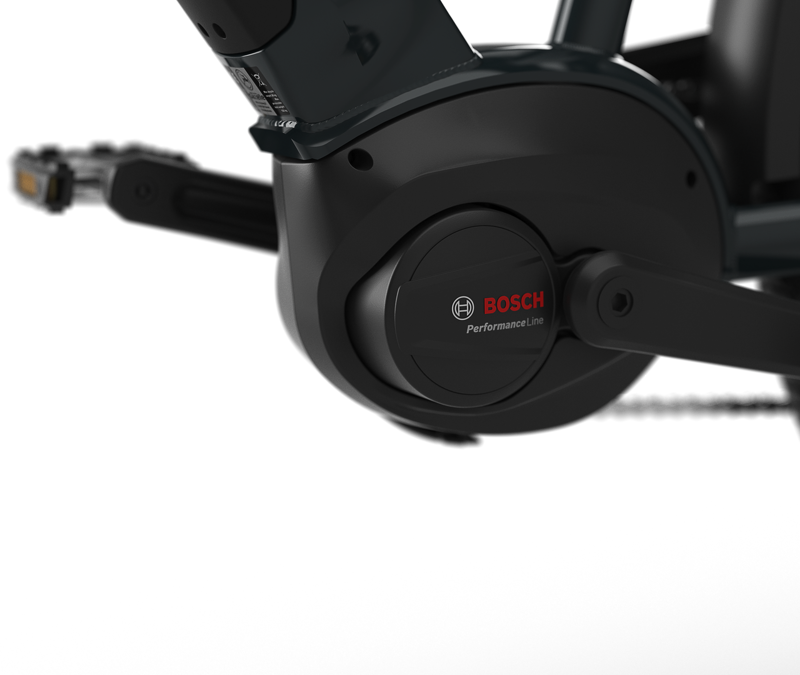 Gazelle Medeo T10 Mid-Step 625 in Pine Green-5