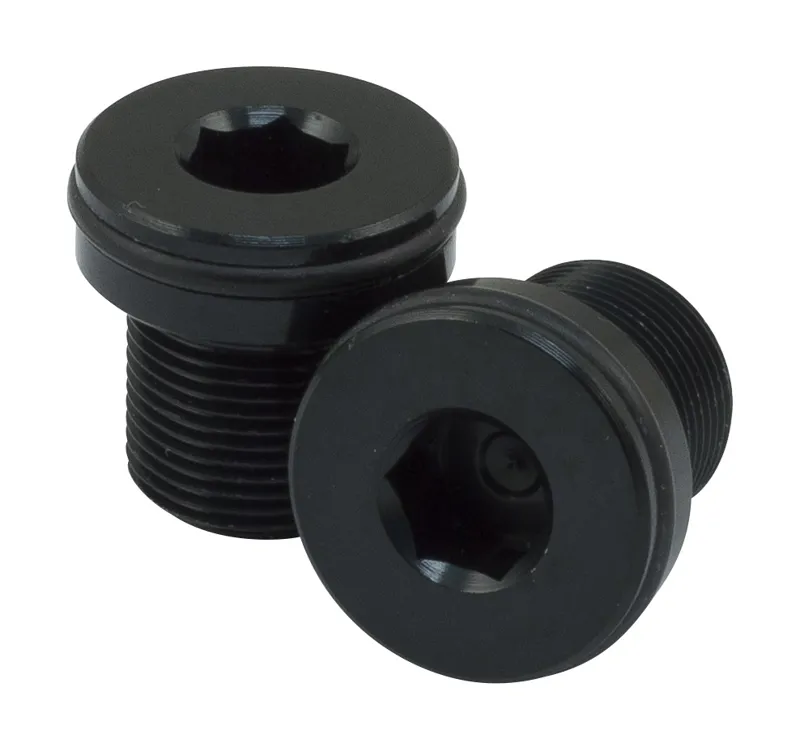 FSA Replacement ISIS Crank Bolts in Black