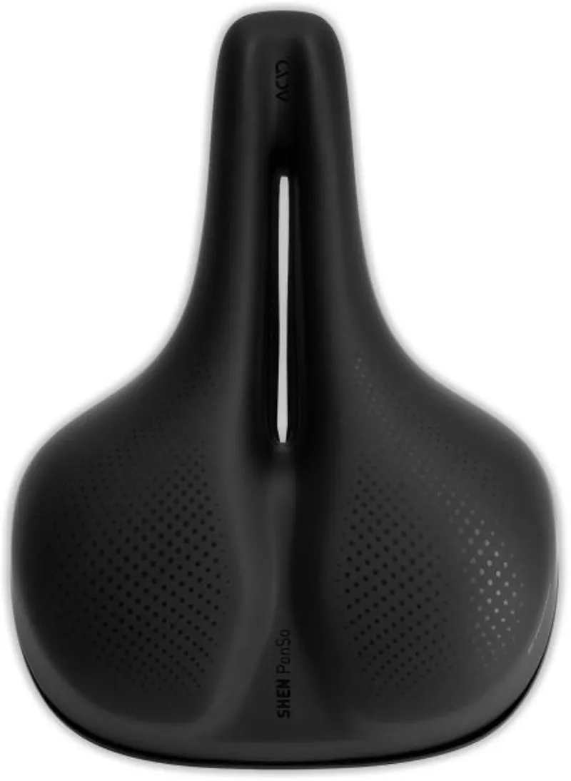 Acid Shen Ponso Saddle In Black-1