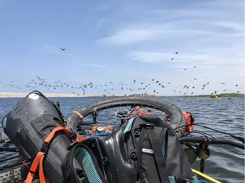 Fixplus 46cm Strap in Olive-3