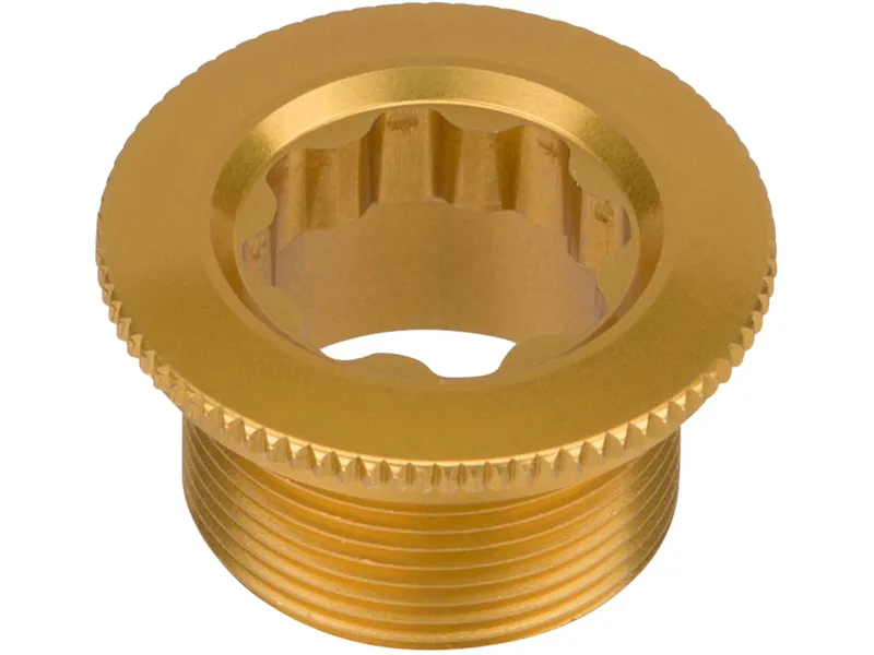 Shimano FC-M810 Saint Gold Crank Arm Fixing Bolt-1