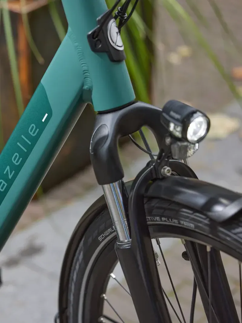 Gazelle Paris C7+ Low-Step 400 in Thyme Green-3