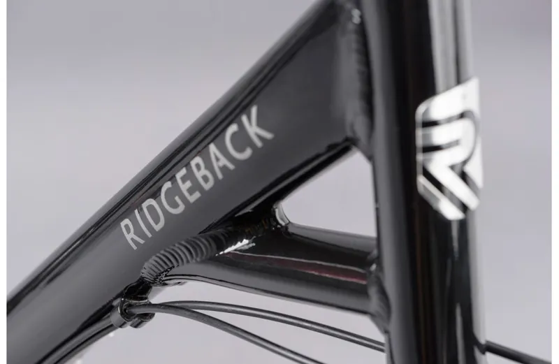 Ridgeback Avenida 21 Open Frame Hybrid Bike-4