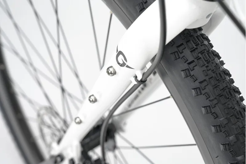 2025 Ex-Hire Genesis Croix De Fer 10 Steel Gravel Bike in White-10