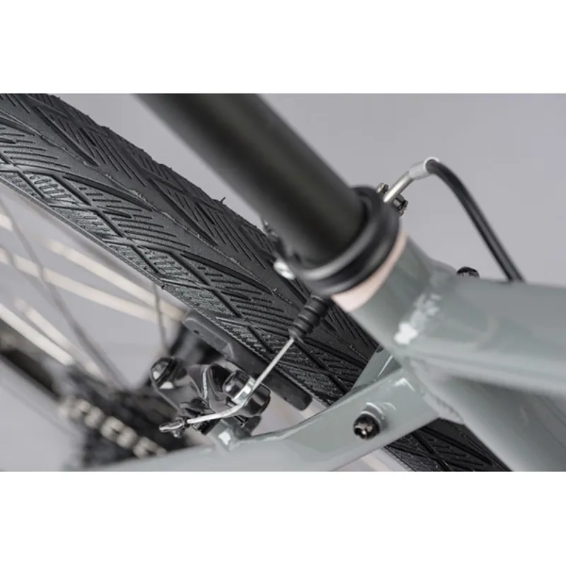 Ridgeback Velocity Grey