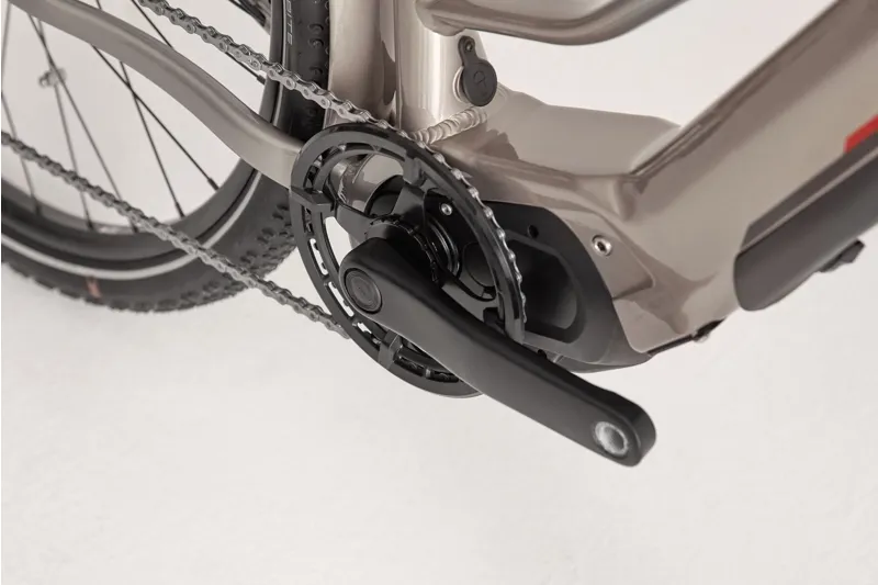 Ridgeback Advance 1W Electric Bike-2