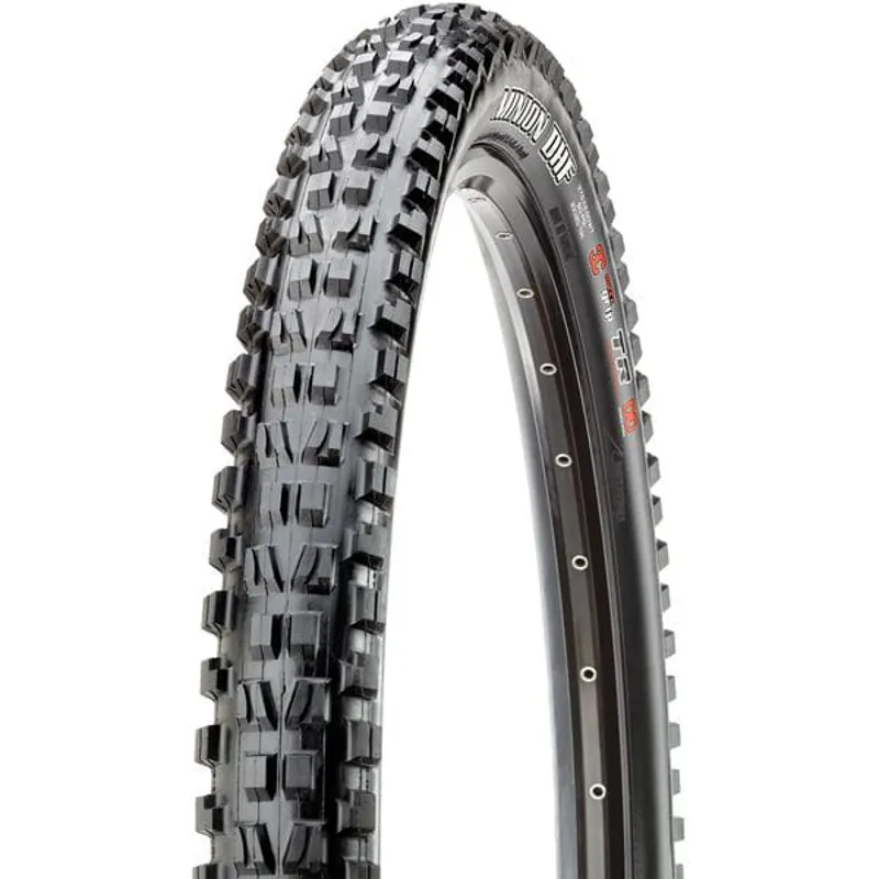 Maxxis Minion DHF2 EXO DC Tyre