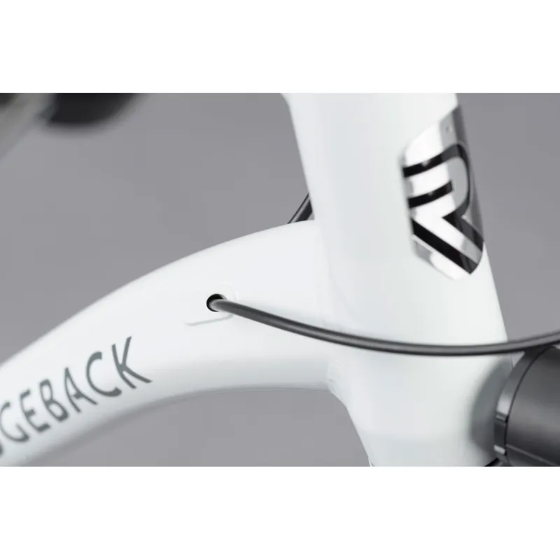 Ridgeback Supernova EQ - White-2