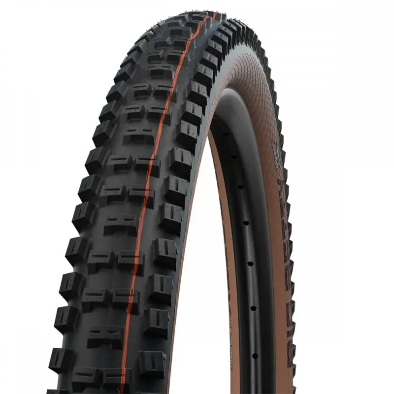 Schwalbe Big Betty Mountain Bike Tyre - 26x2.40-inch Trail Soft