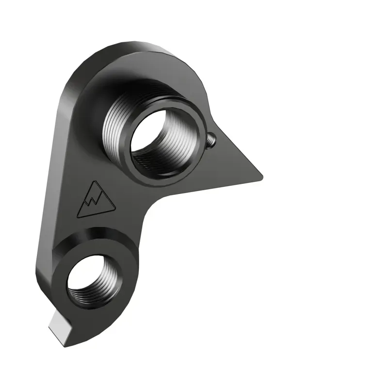 Replaceable derailleur hanger / Dropout 663